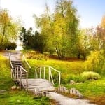 Julio Belmonte avatar